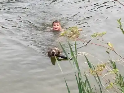 Бородино - 12