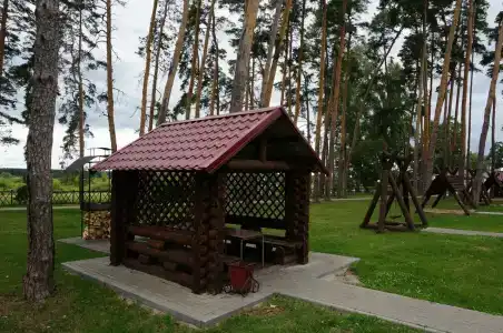 Галдым - 20