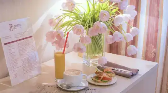 Бристоль - 77