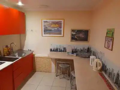 Бегемот - 3