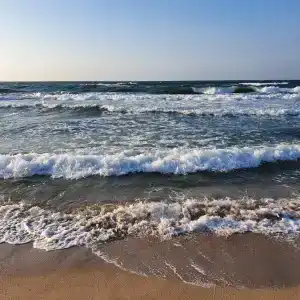 Ковчег - 31