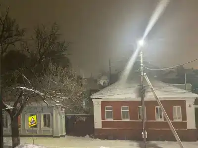 Снегири - 19