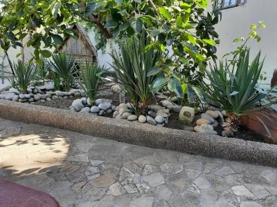 Ласточкино гнездо - 58