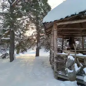Дубки-В гостях у сказки - 93