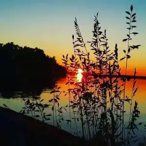 Точка Немо - 24