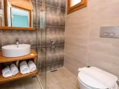 Cobanoglu - 4