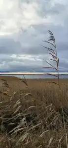 Остров Спасения - 31