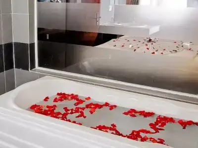 Bella Begonia Nha Trang - 2