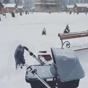 Приокские Зори - 99