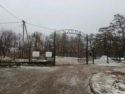Чайка - 3