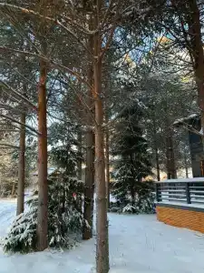 Harland Village - 40