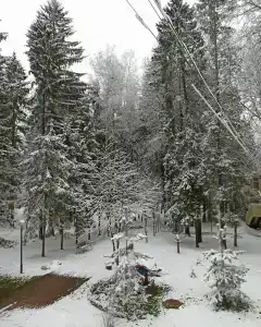 Кристалл - 75