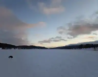 Карелия Парк - 53