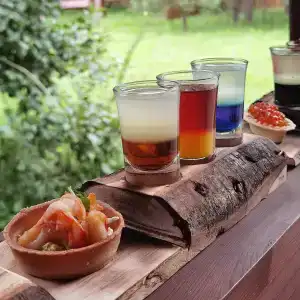 Лесной Эдем - 93