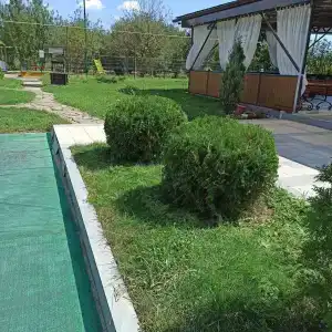 Дикая Вишня - 7