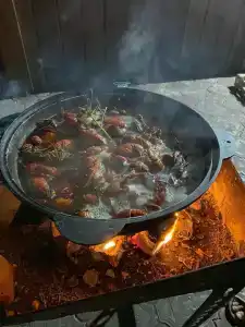 Созвездие - 32