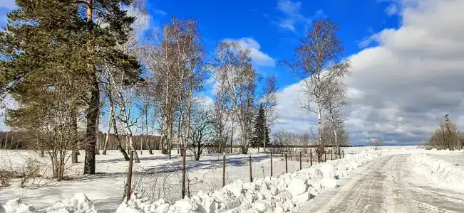 Норка - 11