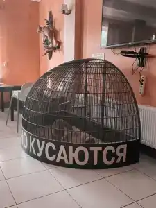 Лесная сказка - 12