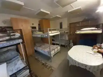 Новый - 14