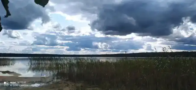 Белое озеро - 55