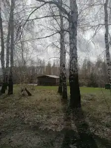 Алые паруса - 47
