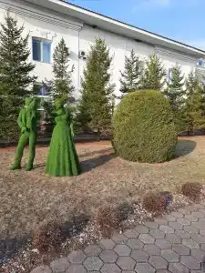 Белый лебедь - 58