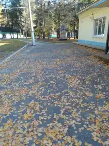 Лесная сказка - 13