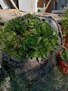 База отдыха у Петровича - 26