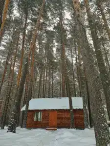 Едем в Киреевск - 14