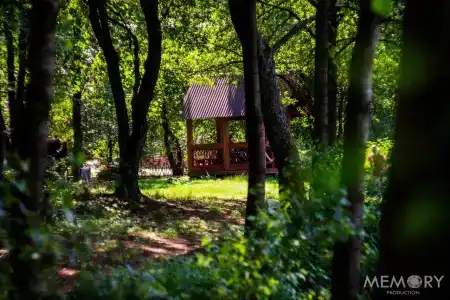 Лесной Эдем - 36