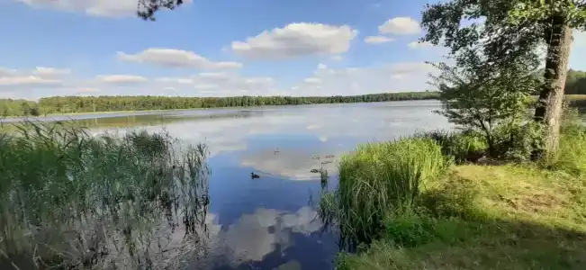 Белое озеро - 5