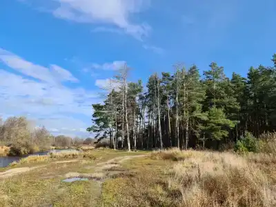 4 Сезона - 100