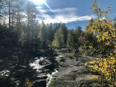 Медвежий угол - 52