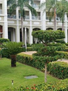 Riu Palace Bavaro - 43