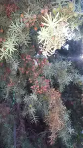 Солнышко - 27