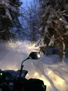 Снегоходия - 56