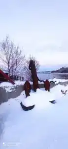 Калипсо - 29