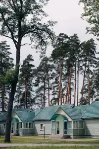 Галдым - 31