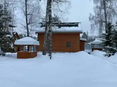 Березовая роща - 61