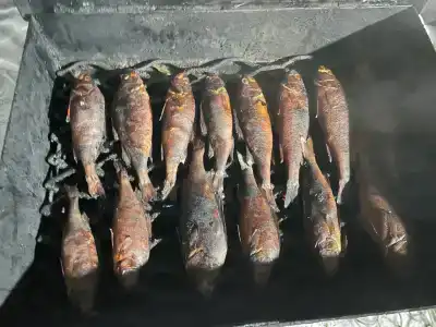 Северный- Остров рф - 30