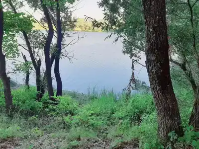 Лесной Остров - 1