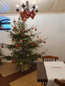 Усадьба на Спасской - 39