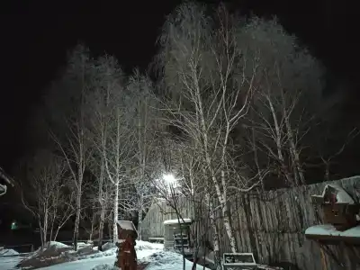 Русские бани - 12