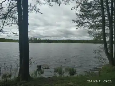 Три Пескаря - 4