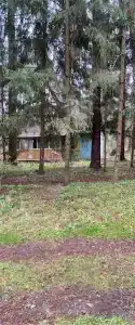 Лесная Сказка - 1