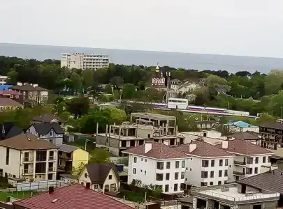 Фламинго - 50