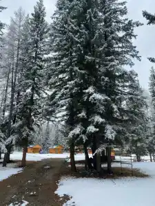 Тихий Бор - 6
