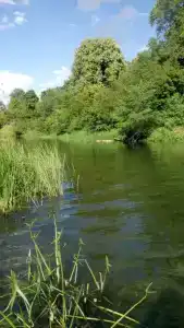 Приречное - 5
