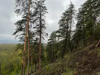Радуга - 19