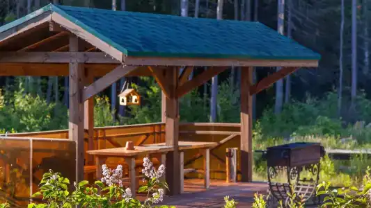 Самая Ладога - 29